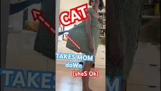 STRONG CAT TAKES MOM DOWN 2 SPIRITS (#bagagwa) BE SAFE! #catsofyoutube #wow #shortsfeed #wildlife