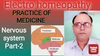 Electro-Homeopathy (physiology) Nervous system Brain part-2