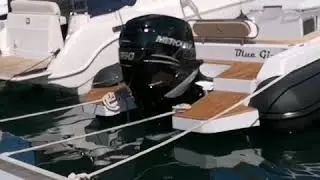 Starmar rib