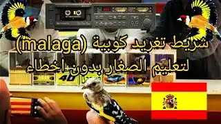 شريط تغريد كوبية ملقا بدون اخطاء لتعليم الصغار2023 #تغريد #اسبانيا