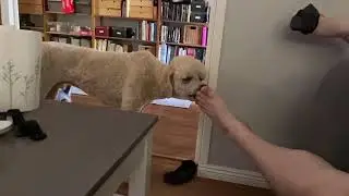 Washing toes