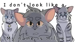 My name is Millie | Graystripe and Millie pmv
