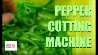 Slicing, Chopping, and Cutting Green Bell Peppers in Vegetable Cutter Machine