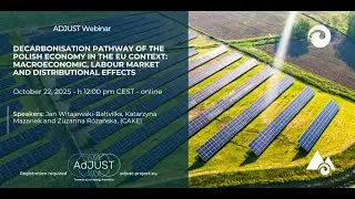 Decarbonisation Pathway of the Polish Economy in the EU Context