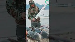 Red Tide Spearfishing Super Reefer - 60 Second Review