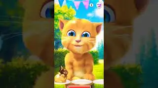 My tom 2 Talking Ginger Funny video tom  #TalkingGinger#talkingtom#🍎🍒🫒🫐🍎🌰🍏🥒🥕🌰🥕🥔🥕🥞🍆🍳🍆🥚🧄🥬🍆🍇🌶️🌽🍈🌽