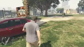How to get a dog on gta 5