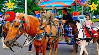 Naik kuda delman Istimewa | Full Lagu Anak-Anak Ceria & Edukatif untuk Si Kecil