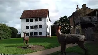 ESSEX PUB WALK | EPPING FOREST (4/9/17)
