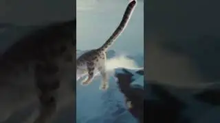 Snow Leopard Glide vs Wolf Pack Swarm