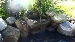 Small Cascade Pond Waterfall Gem