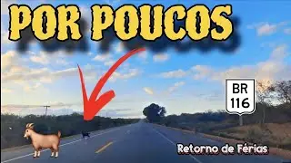 VIAGEM DE FÉRIAS RETORNO PARA NOVA SERRANA PASSANDO POR EUCLIDES DA CUNHA   BR116