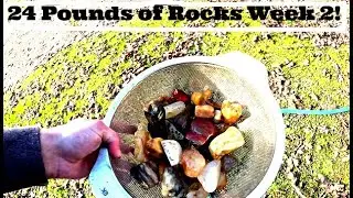 Agates, Petrified Wood, Jasper and MORE!!! What they look like after stage 2!!!