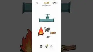 Brain Out | Catch the Rat!