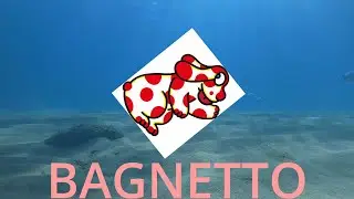 REMAKE PARODIA DELLA PIMPA (con video animato)