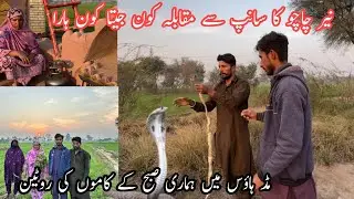 | Nayyar chachu Ka saamp se mukabala Kaun jita Kaun Hara | mud house mein Hamari subah ke kamon ke R