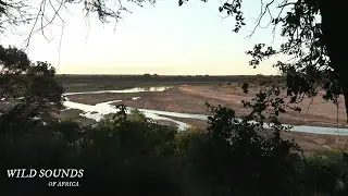 Letaba River Sounds &ndash; Kruger National Park &ndash; Relaxing Nature Sounds