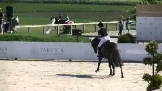 Over Group Idrys  2010 ( Turbud Quirinus x Czad)  ZO Jakubowice 2015 2 nd with 8,4 score