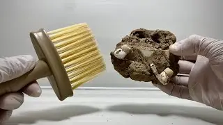 Satisfying AirPods Pro Cleaning - ASMR Relaxing 