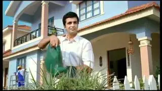 Dulux WeatherShield