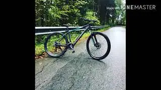 Conway 527 MS