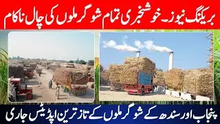 Sugarcane Rates Restored | Big Relief for Farmers | Latest Sugar Mills Updates