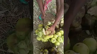 ice apple fruit citing skills village 😋#shorts #viralvideo #food