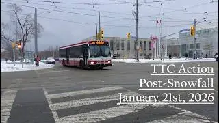 TTC Action Post Snowfall - January 21st 2026