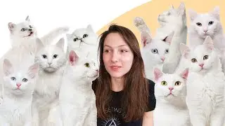 7 фактов о белых кошках, которые вы не знали