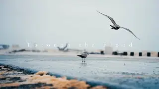 Through The Flood (An Inspirational Short Film)