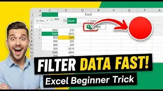 Data Filter in MS Excel for Beginners