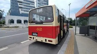 ⚠️ (Zabytek!) Jelcz PR110U #442, MPK Rzesz&oacute;w, Linia turystyczna