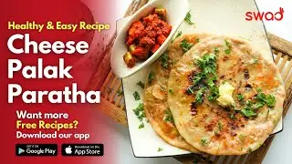 Cheese Palak Paratha | Stuffed Palak Paneer Paratha | Healthy Paratha Recipe