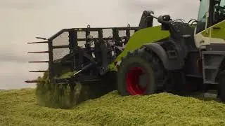 TORION 1611p
