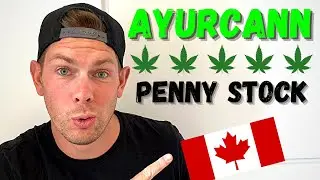 Best Stock Under $2 | Penny Stock to Watch | Top Penny Stocks 2021 | Ayurcann Stock