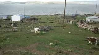 ARDAHAN ÇILDIR GÜVENOCAK KÖYÜ (ZİNZAL) YAYLA DÖNÜŞÜ