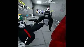 Untitled video