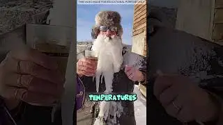 Frozen Bird Shock! 🐦🧊 -70&deg;C Turns Life to Ice#shorts #youtubeshorts #youtubefeed #facts