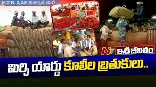 Miserable Lives Of Mirchi Hamali Workers | Idhi Jeevitham | Ntv