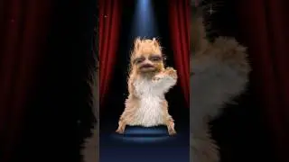 Happy Squirrel #squirrel #squirrels #dancing #smile #smiley #happy #happydog #guy #funny #shorts