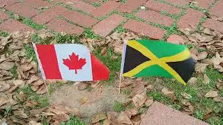 Canadian and Jamaican flags waving