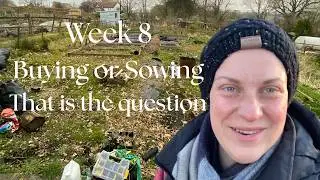 Allotment Basics |wk8| To sow seeds or To Buy Plants