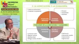 EL SECTOR AGROALIMENTARIO