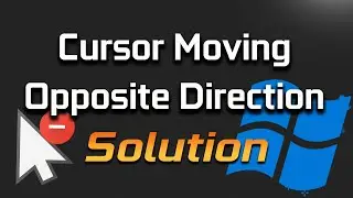 Mouse Cursor Is Moving in the Opposite Direction in Windows 11/10 [Tutorial]