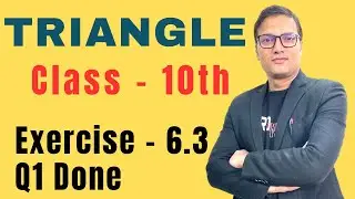 Class 10 Maths | All Criteria Explained (AAA, SSS, SAS) + NCERT Ex 6.3 Q1 | Similar Triangles | CBSE