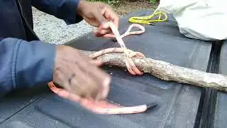 The anchor hitch rigging knot for tree work