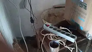 нутрия холодного копчения