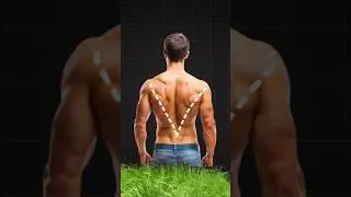 Build V-Taper Back At Home (No Gym Needed)