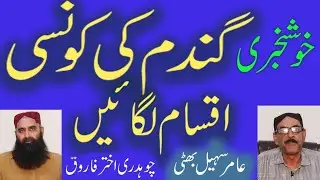 New high yielding wheat variety 2020||Zero tillage wheat seed|| Punjab seed corporation|| nidaekisan