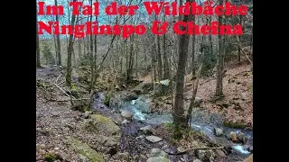 Entlang der Wildb&auml;che Ninglinspo & Chefna
